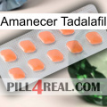 Sunrise Tadalafil 26